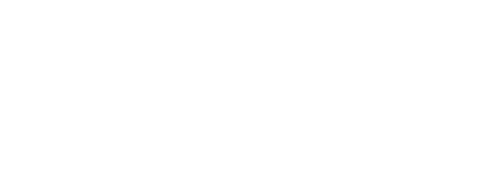 Bitcoins